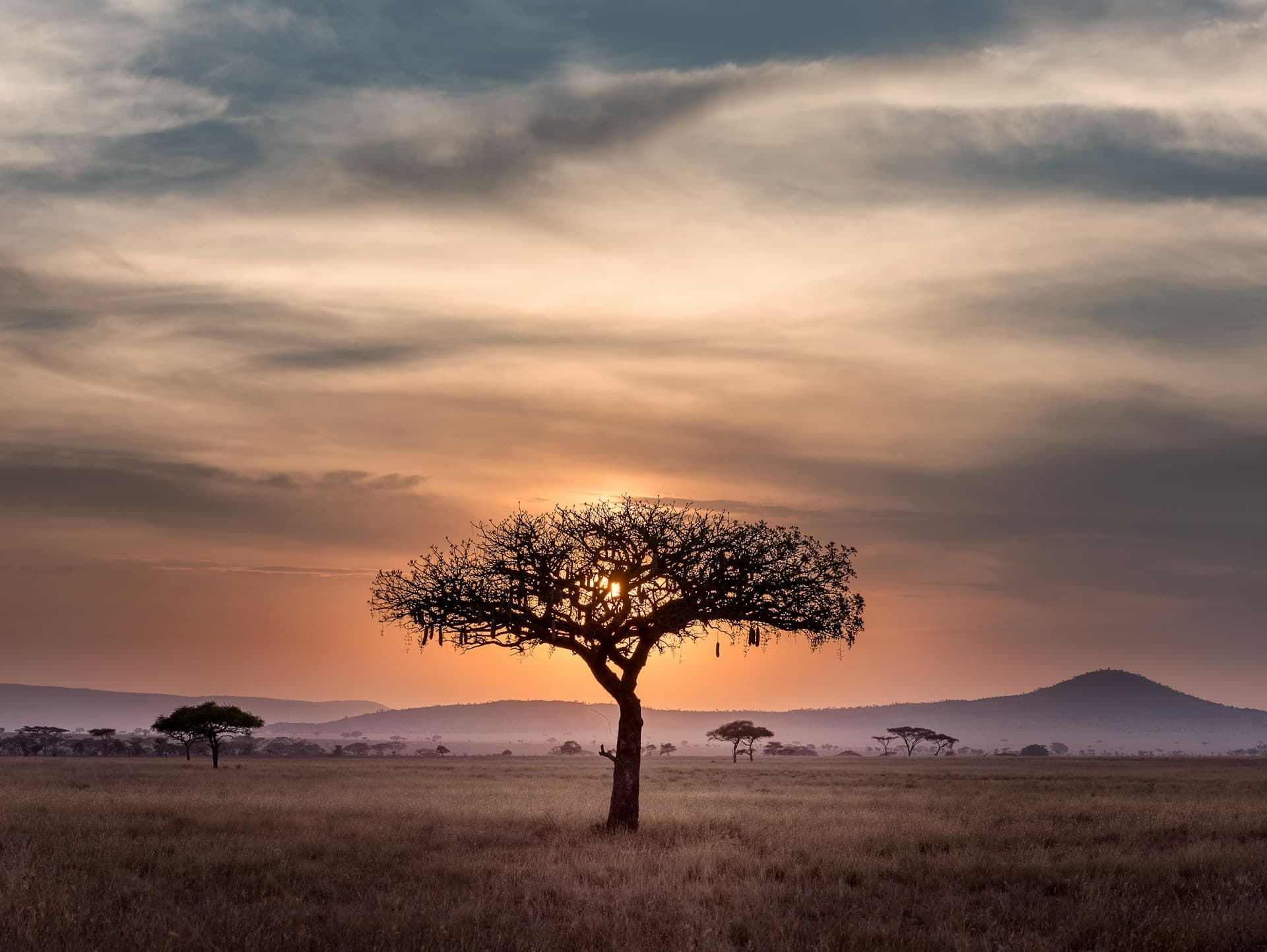 Tanzania Visa Updates 2025: Latest Requirements & Processing Times