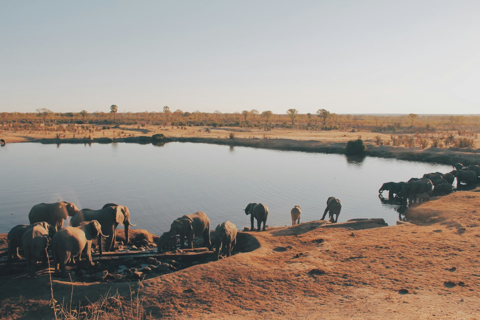 Zimbabwe Visa Updates 2025: Latest Requirements & Processing Times